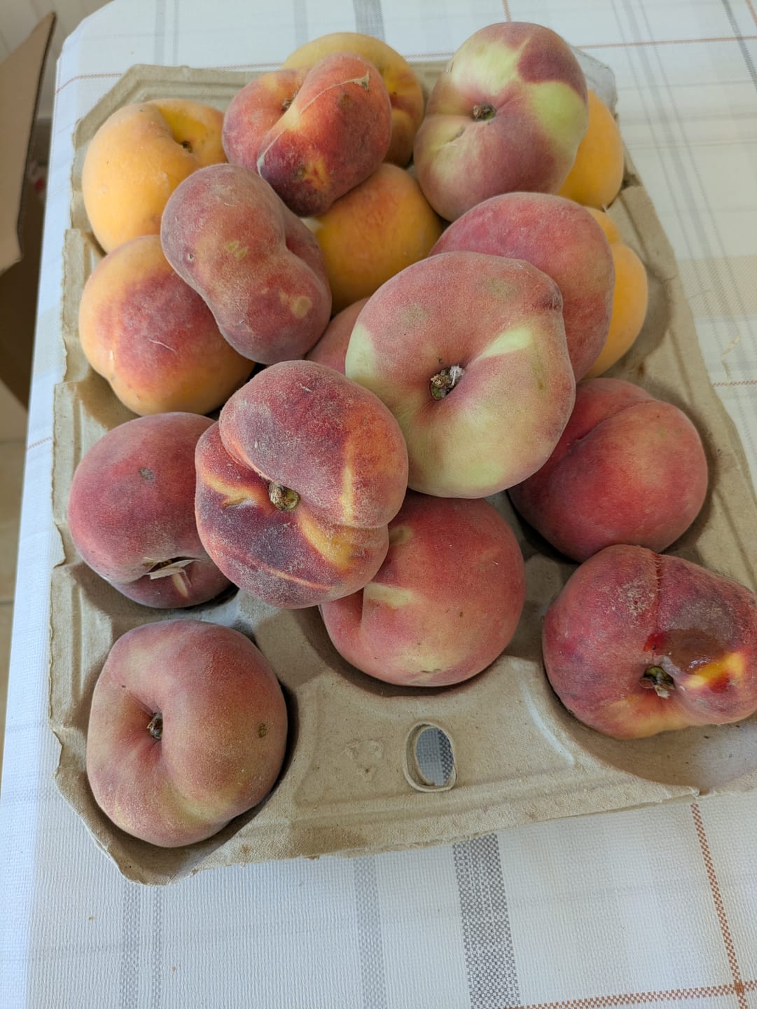 Customer photo review of Pfirsich-Mix Bio von Nicolas 3kg Box