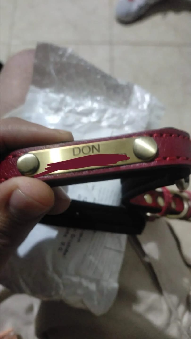 Customer photo review of Personalized dog collar, individually engraved PU leather dog collars, free engraving