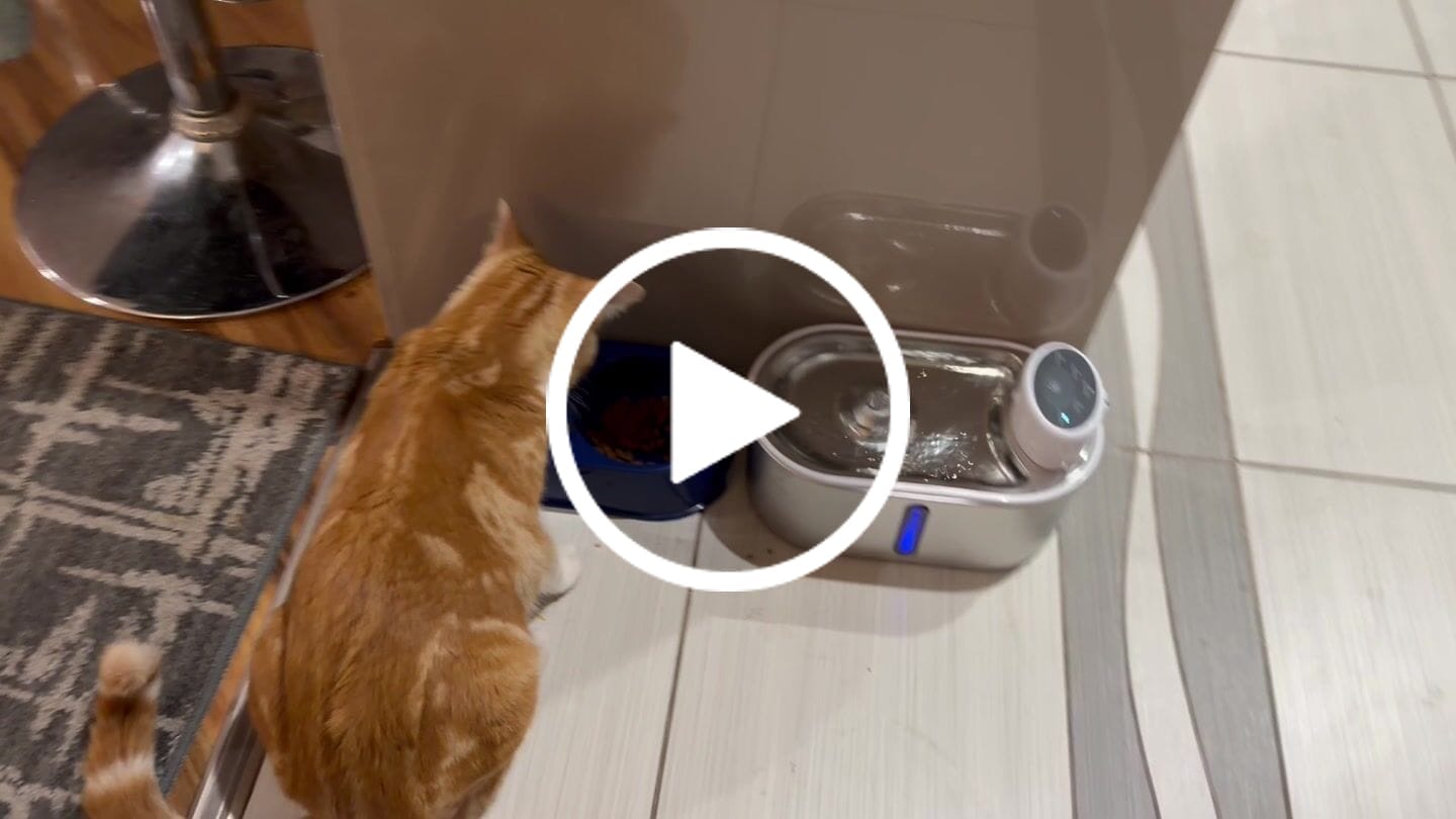 Customer video review of Petbuds Flow Pet Drinking Fountain