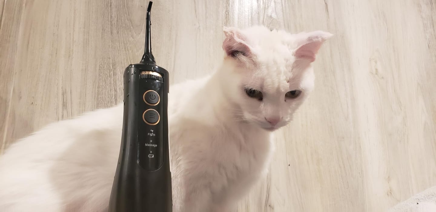 Customer photo review of COSLUS E40 10-Level Dial Pressure Control Water Flosser
