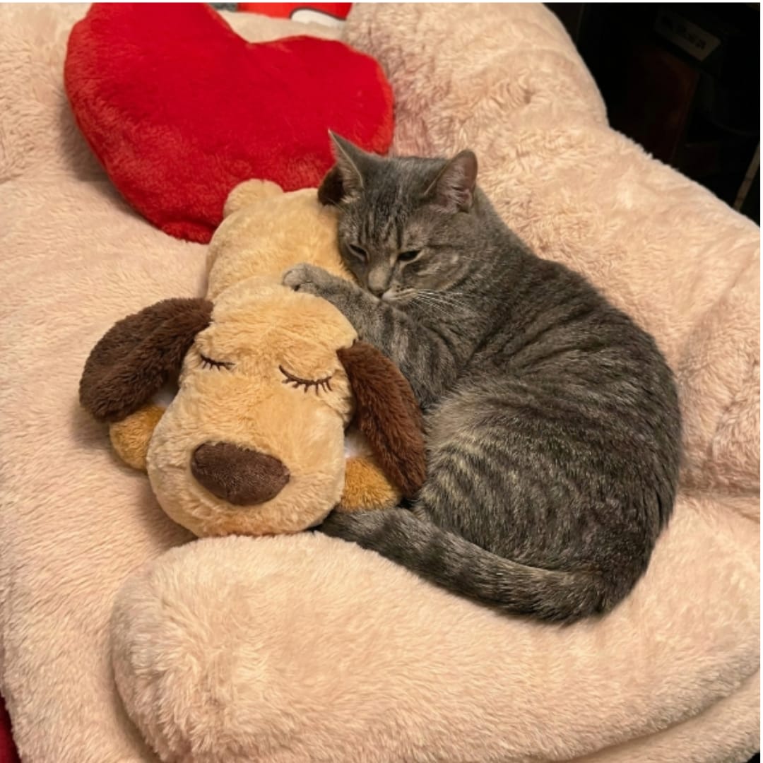 Customer photo review of Peluche con latidos para la ansiedad