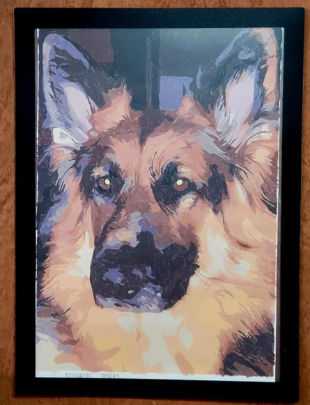 Customer photo review of Kit Personalizado de Pintura por Números