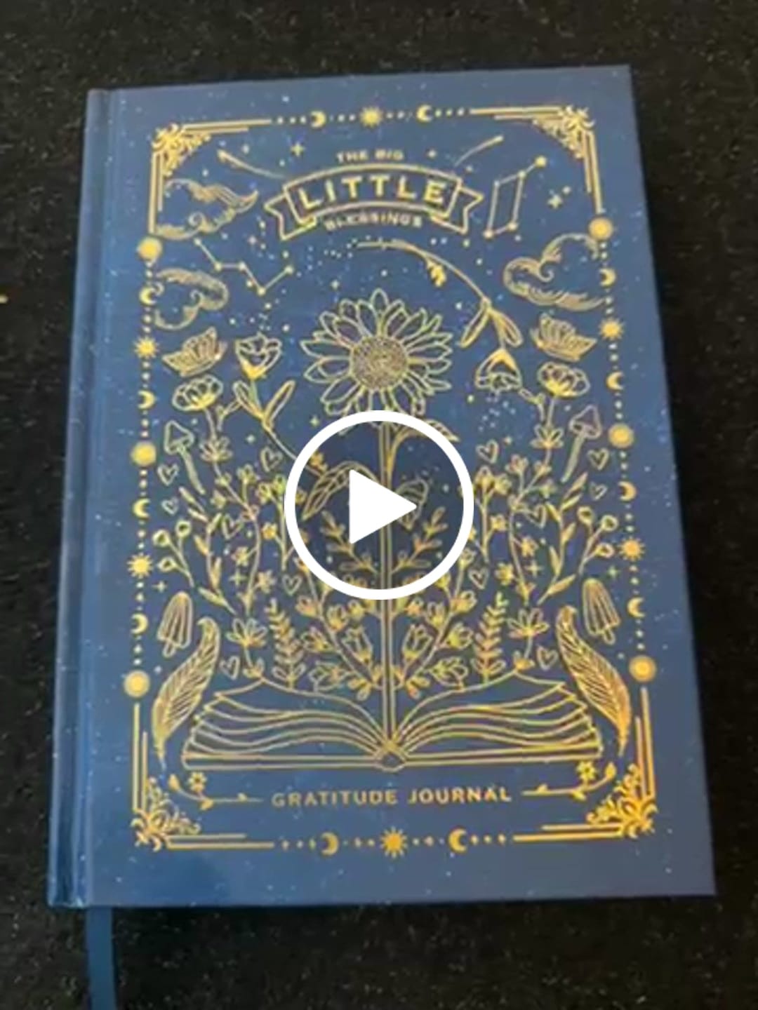 Customer video review of Big Little Blessings Gratitude Journal
