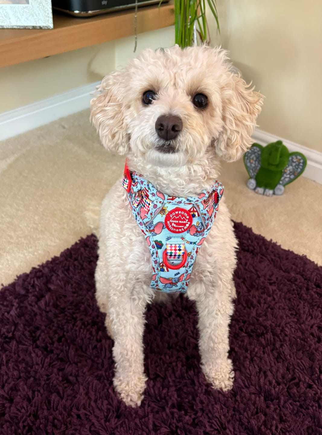 Customer photo review of Disney© Tough Trails™ Harness - Dumbo