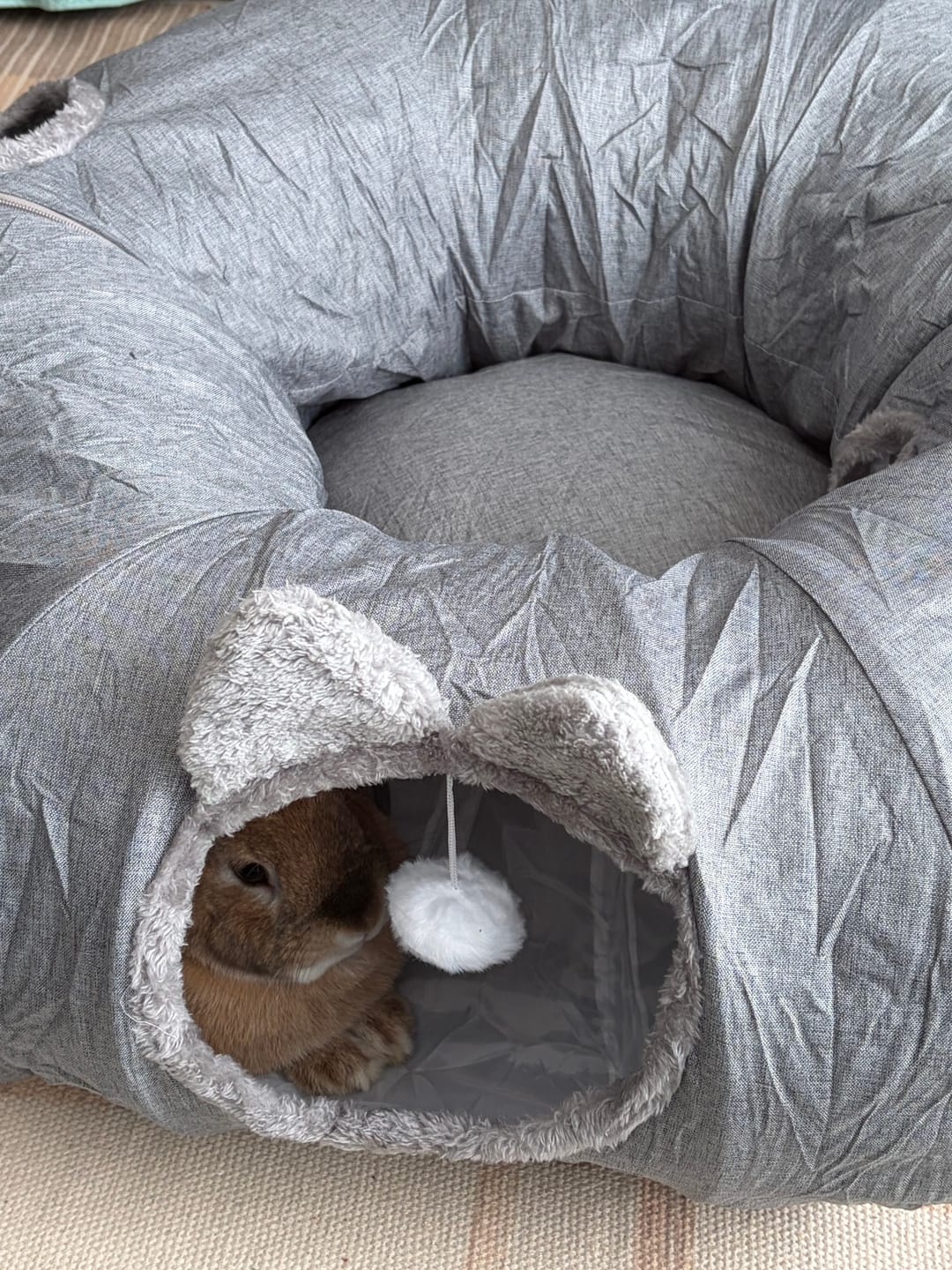 Customer photo review of Large Cat Tunnel Bed Multi-Functional Toy Interactive Pet Playhouse Indoor