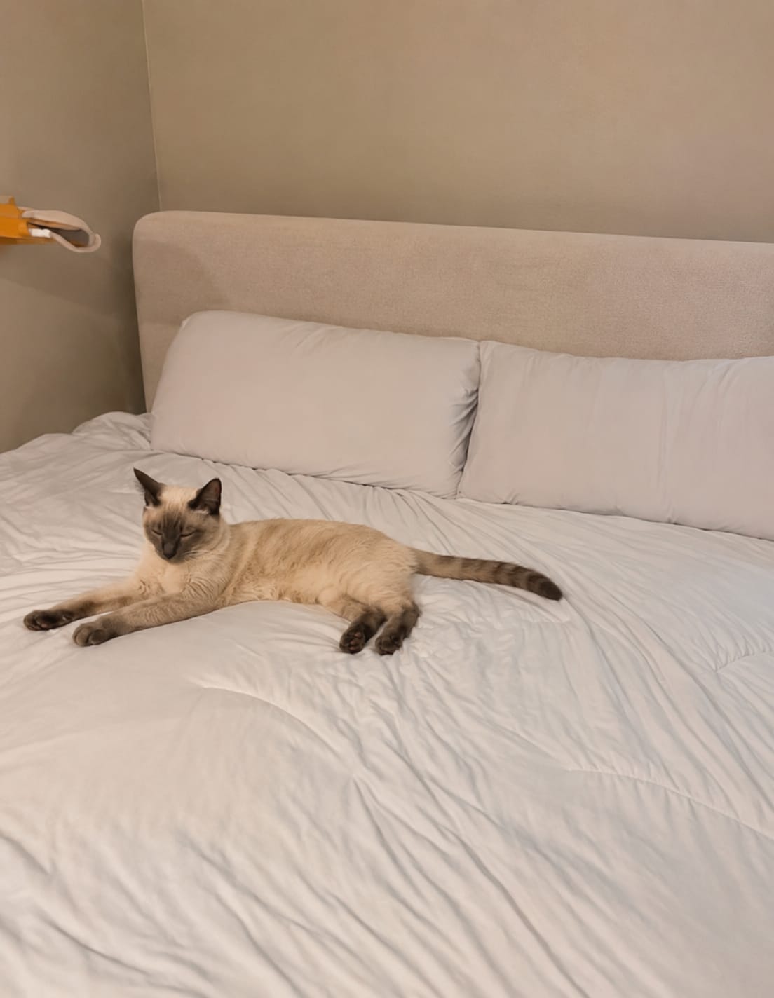 Customer photo review of Cooling Comforter | Stay Cool Year Round