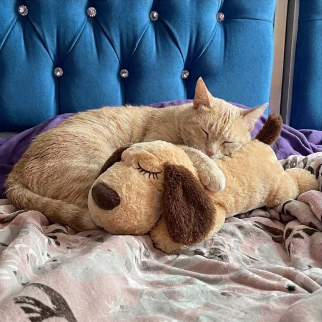 Customer photo review of Peluche con latidos para la ansiedad
