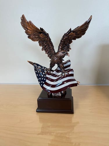 Customer photo review of Hand-Cast American Eagle Statue