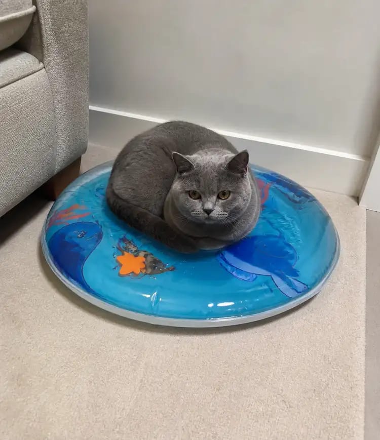 Customer photo review of Upgraded Nail-Resistant Cooling Water Bed