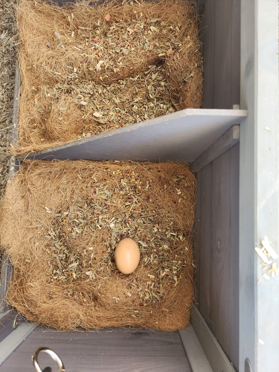 Customer photo review of Nesting Herbs - Control Odors & Keep Coops Mite & Lice-Free