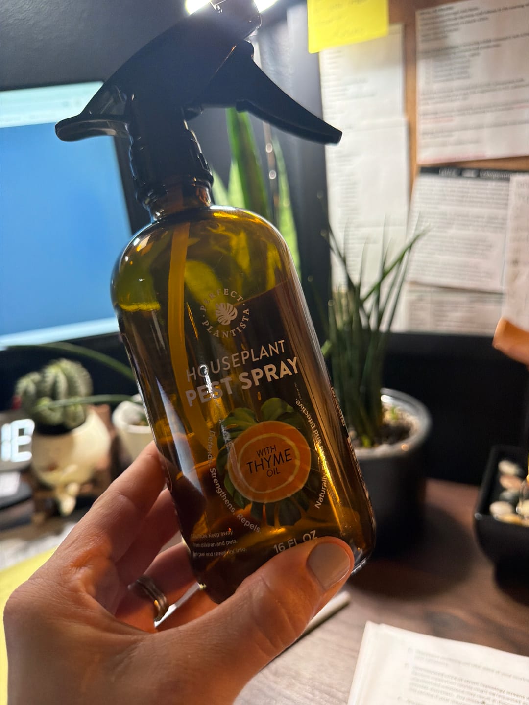 Customer photo review of Houseplant Pest Spray
