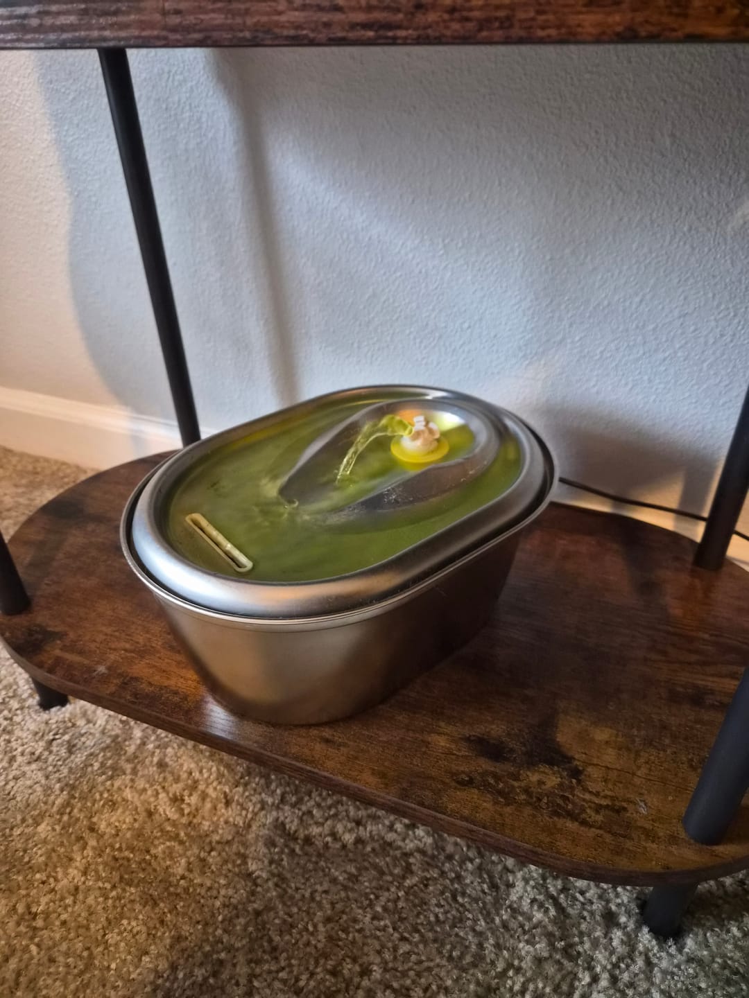 Customer photo review of HealthyMouth® Water Additive for Cats (Clinically Proven, VOHC Accepted)