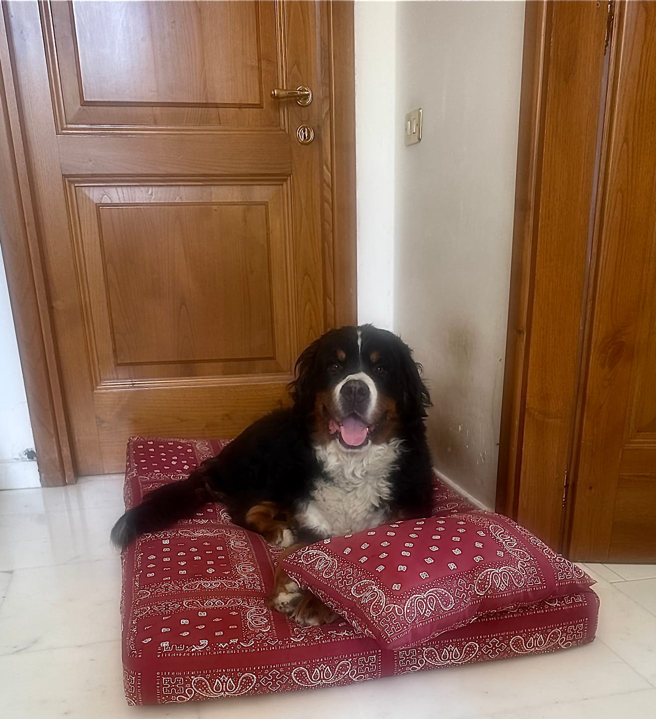 Customer photo review of Materassino Sfoderabile Cotone Premium Bandana Bordeaux
