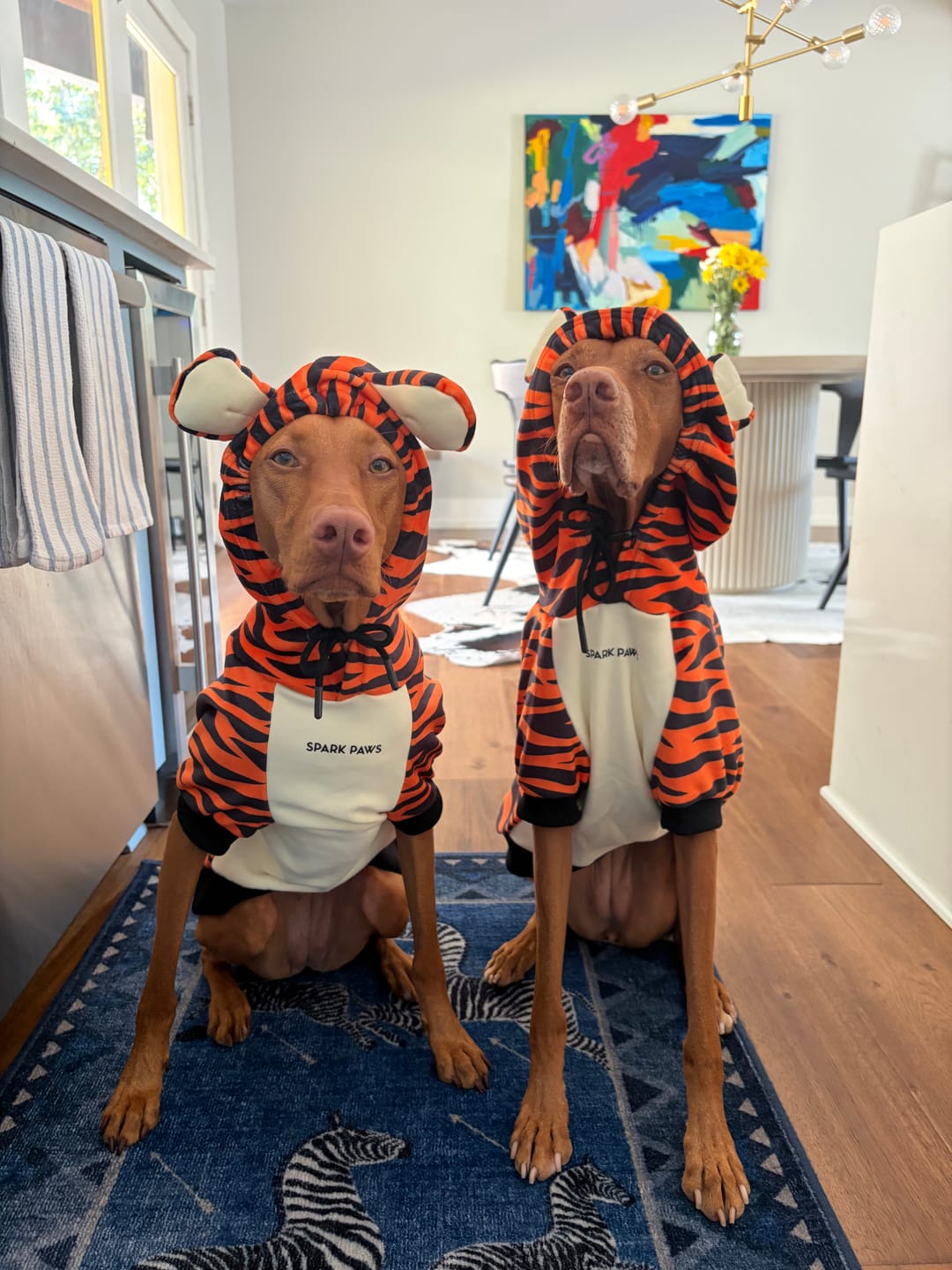Customer photo review of Halloween Dog Hoodie - Tiger
