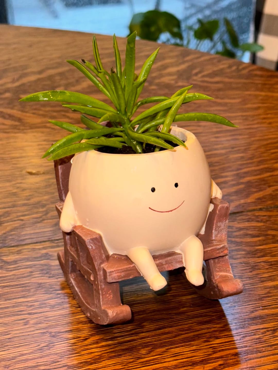 Customer photo review of Infinity™ Plant Pot