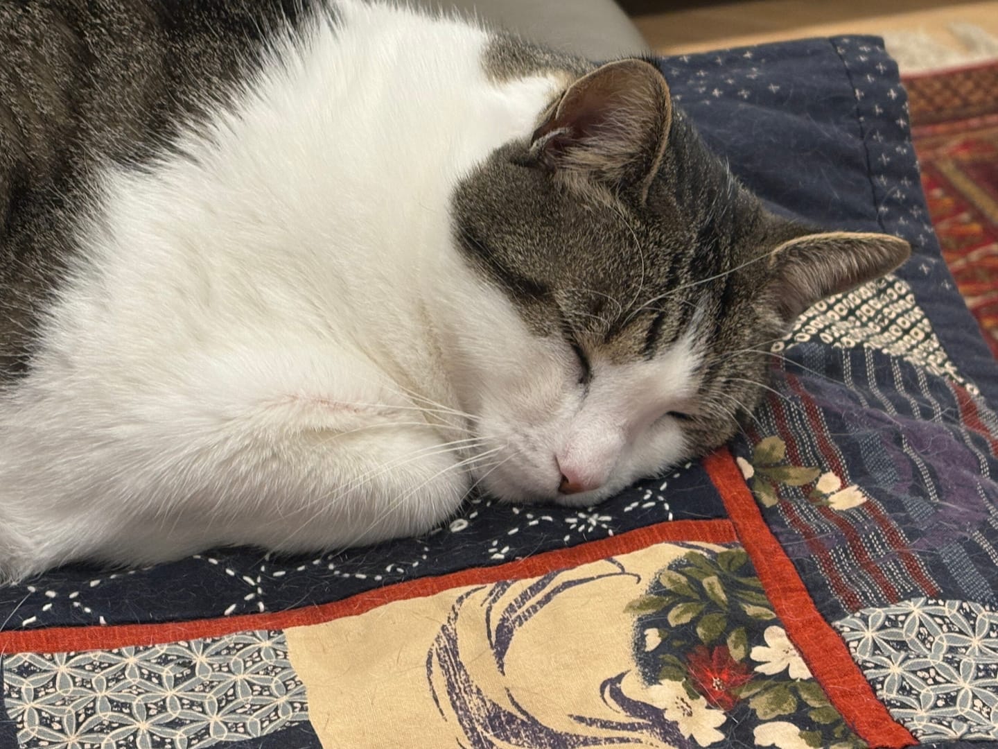Customer photo review of Fit Litter