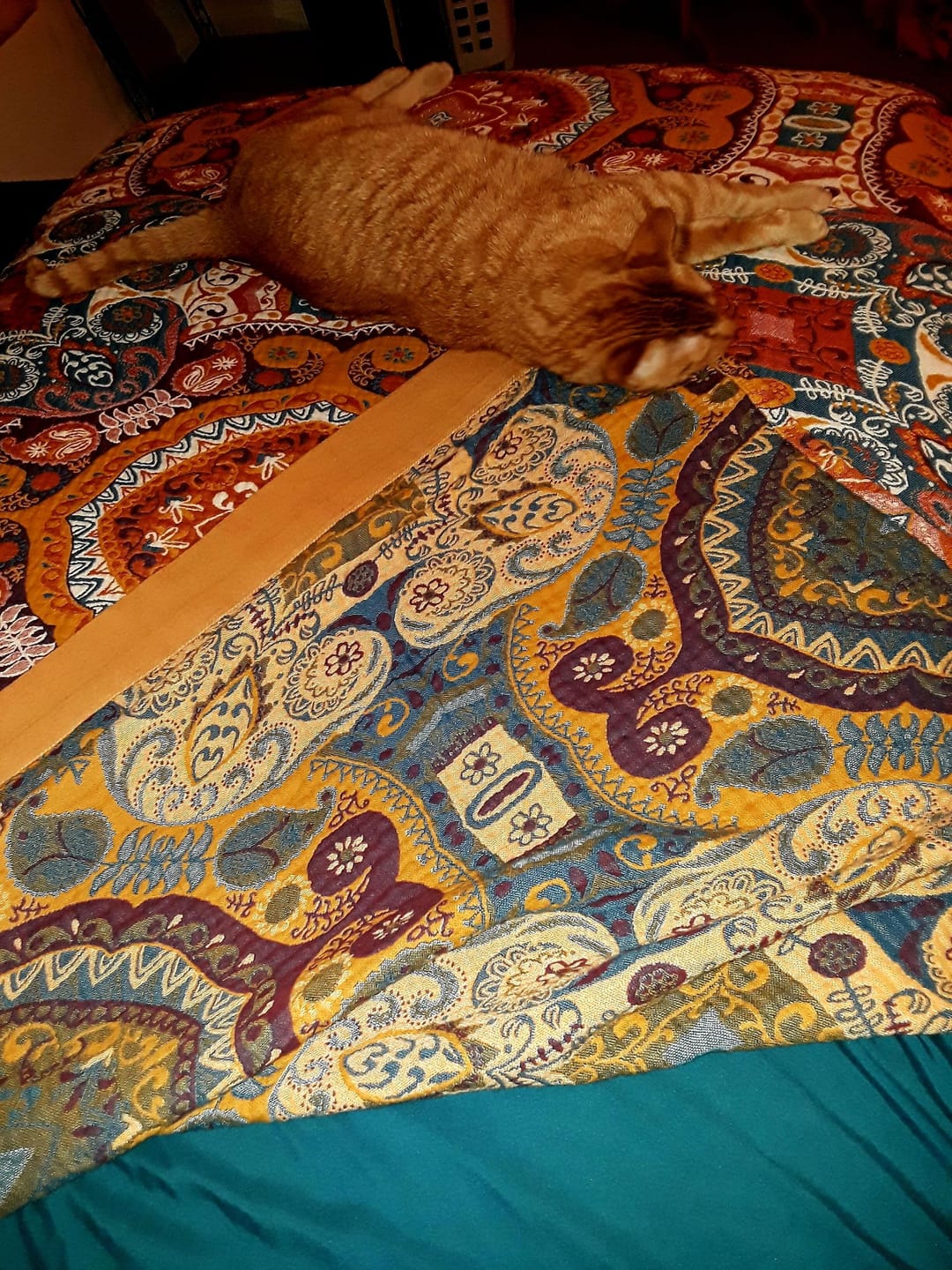 Customer photo review of Reversible Cooling Blanket