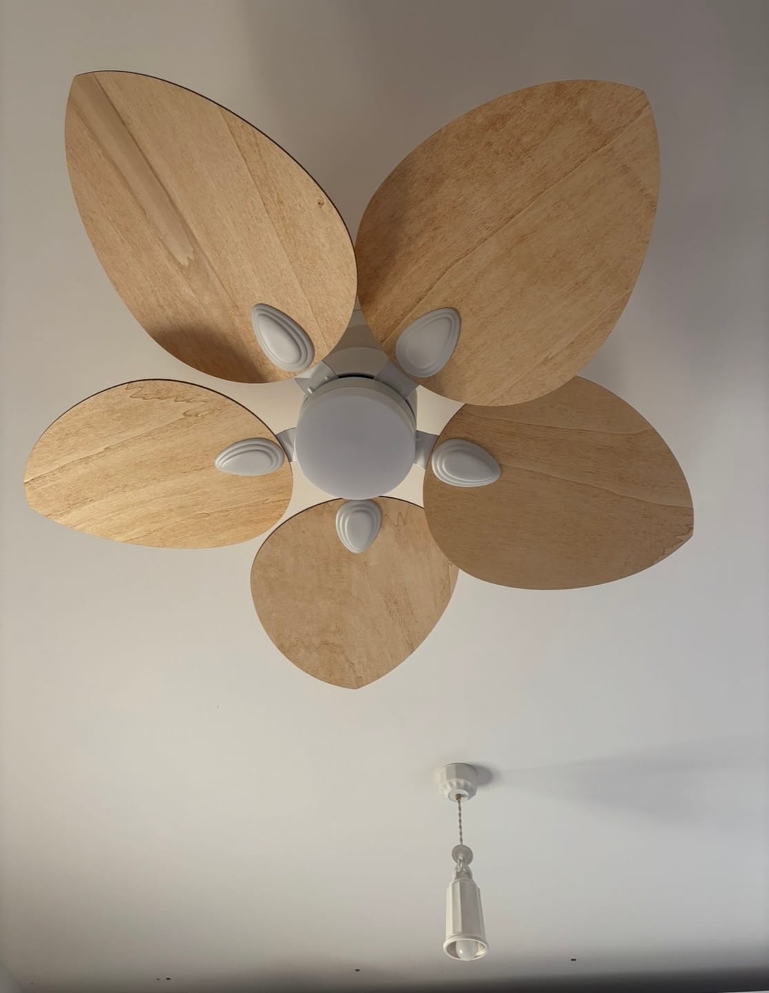 Customer photo review of Dahlia teinté Chêne | Ventilateur de plafond – Ø 109 cm