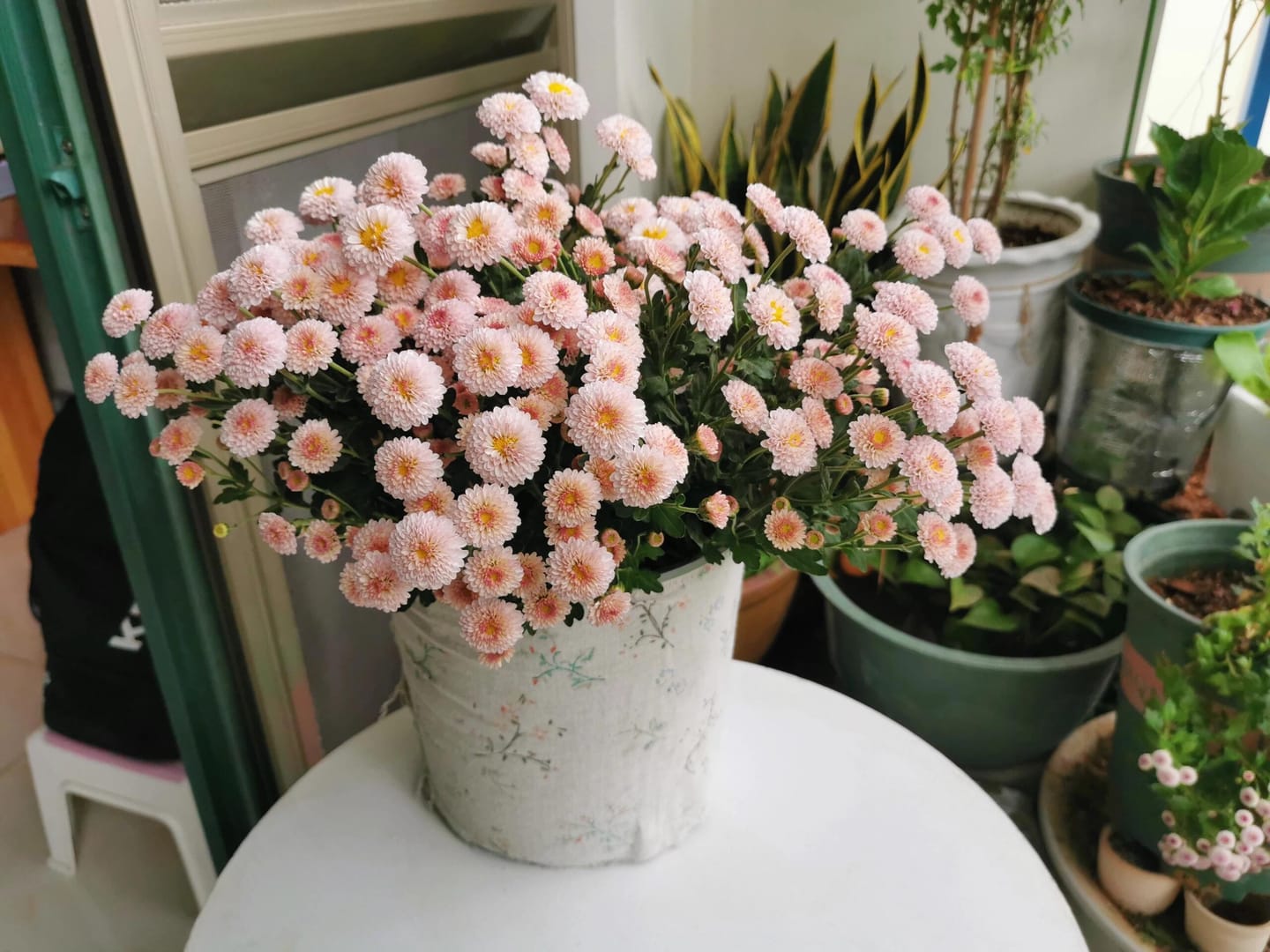 Customer photo review of FloraAcre Plantable Seed Calendar 2027
