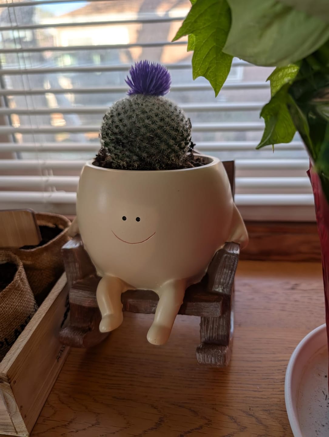 Customer photo review of Infinity™ Plant Pot