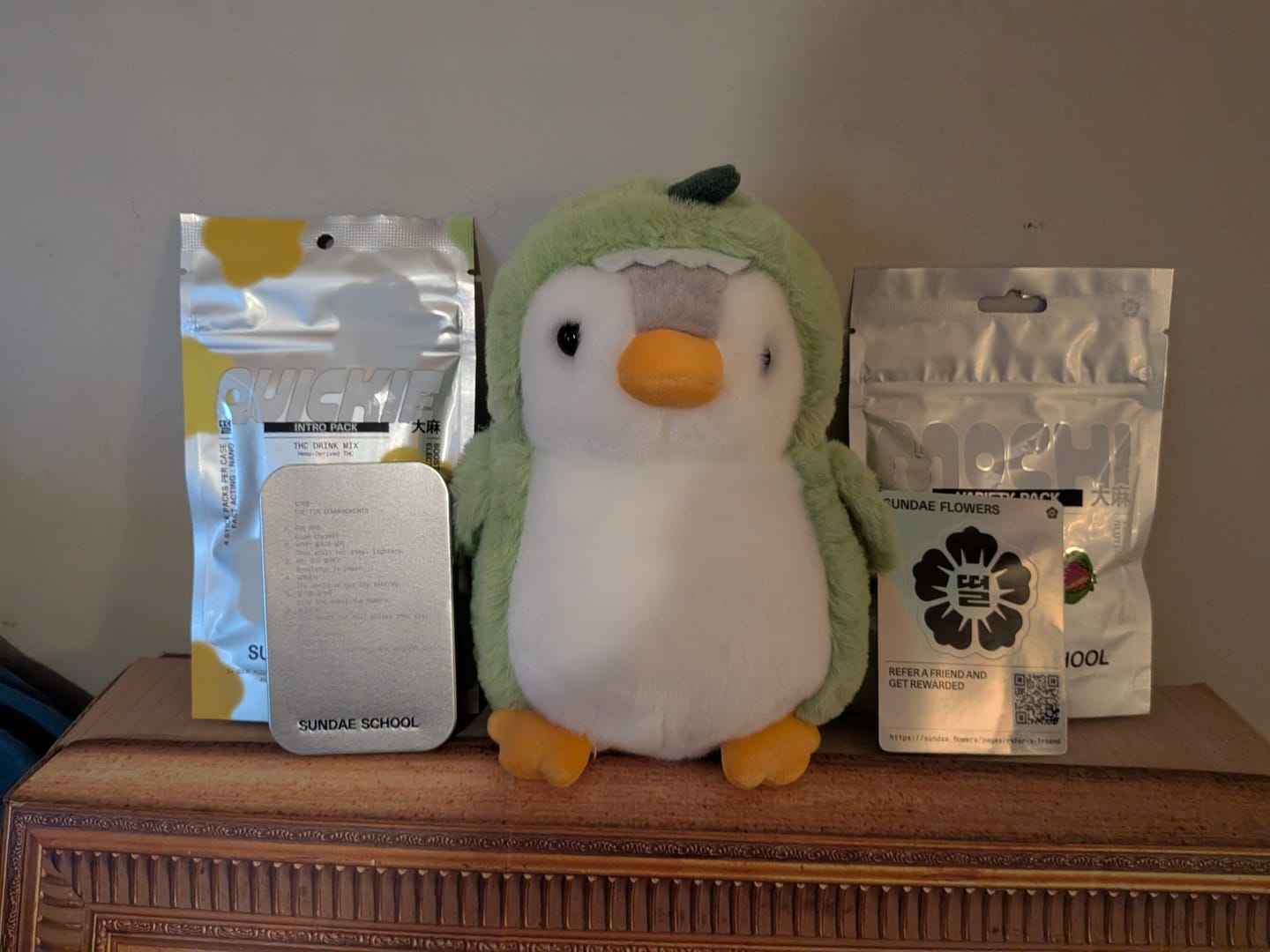 Customer photo review of Mochi Discovery Pack