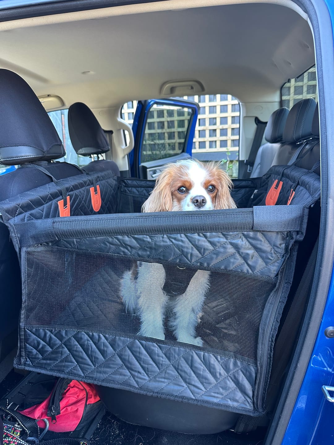 Customer photo review of 🐶Paw Protect - Hard Bottom Single Seat Cover