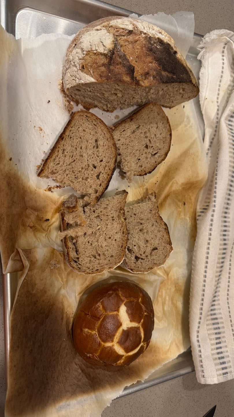 Customer photo review of Pretzel Sandwich Rolls (5 pack)