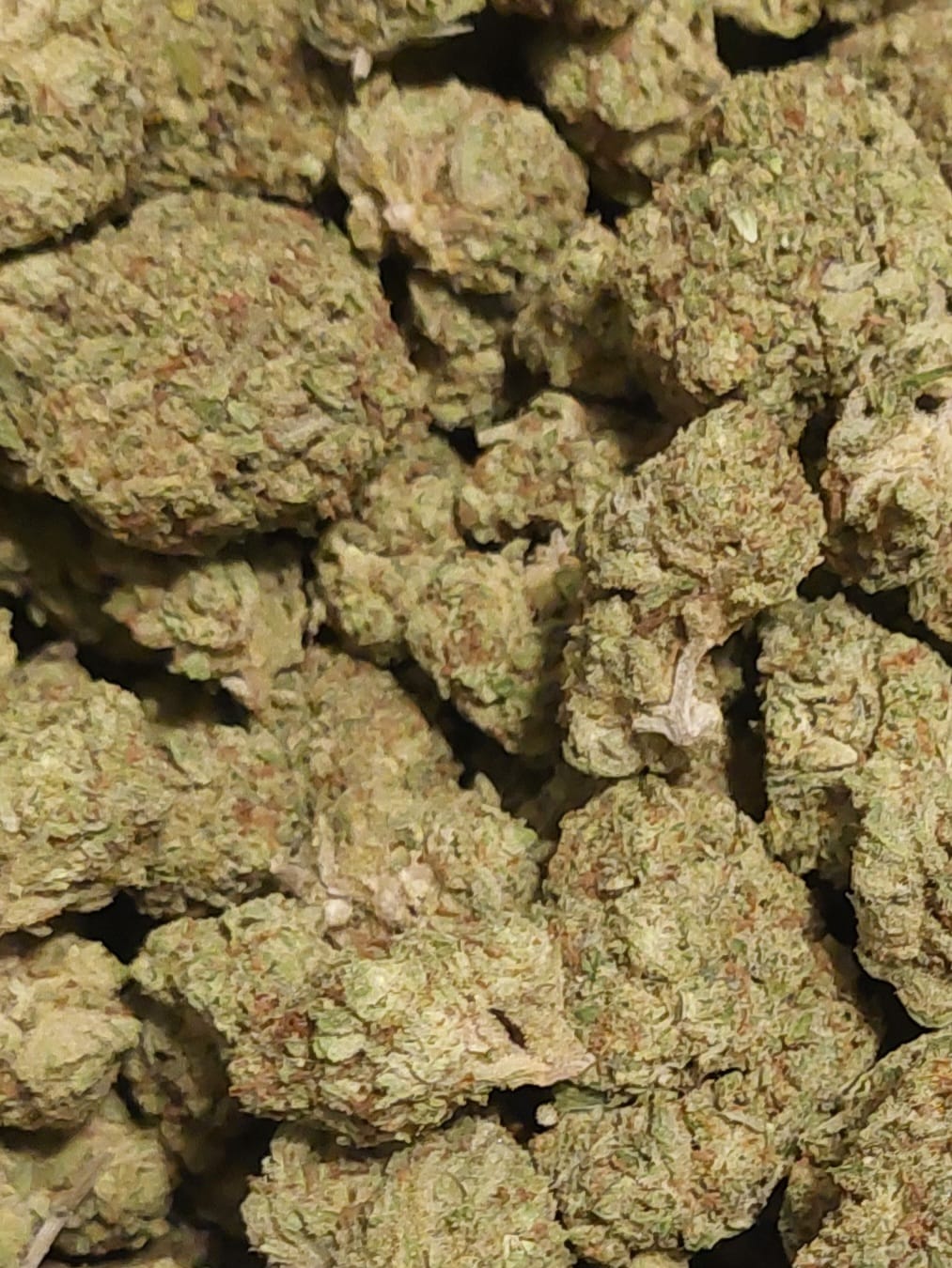 Customer photo review of Strawberry Cough THCA Flower