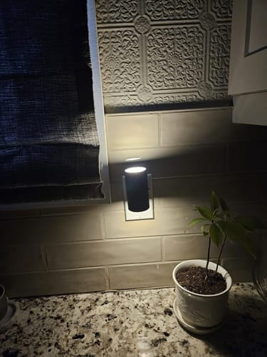 Customer photo review of AORALIGHT
