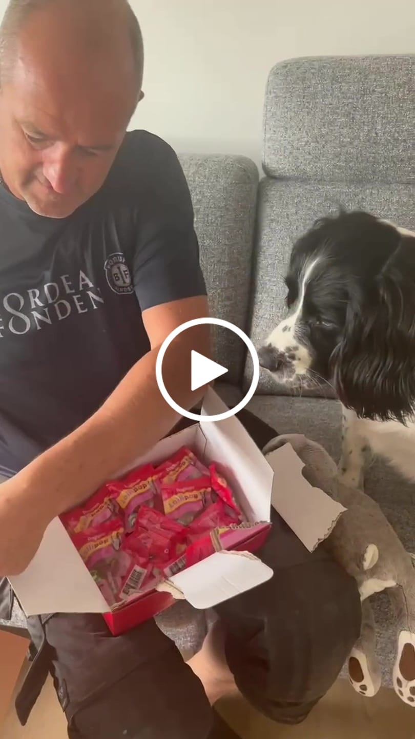 Customer video review of Holmegården - Dental Sticks 28 stk. 440g - Small