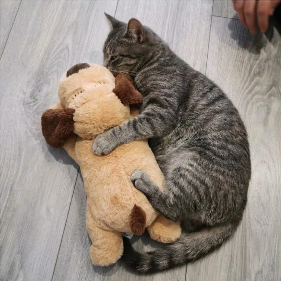 Customer photo review of Peluche con latidos para la ansiedad