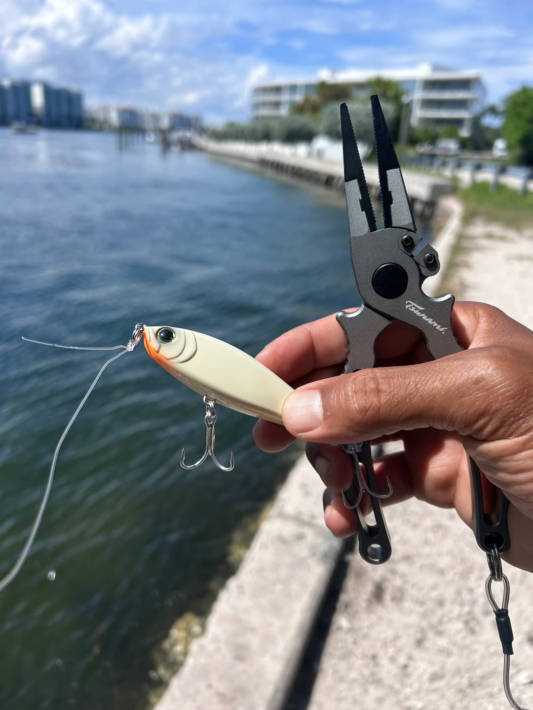 Customer photo review of Pro Aluminum HD Plier