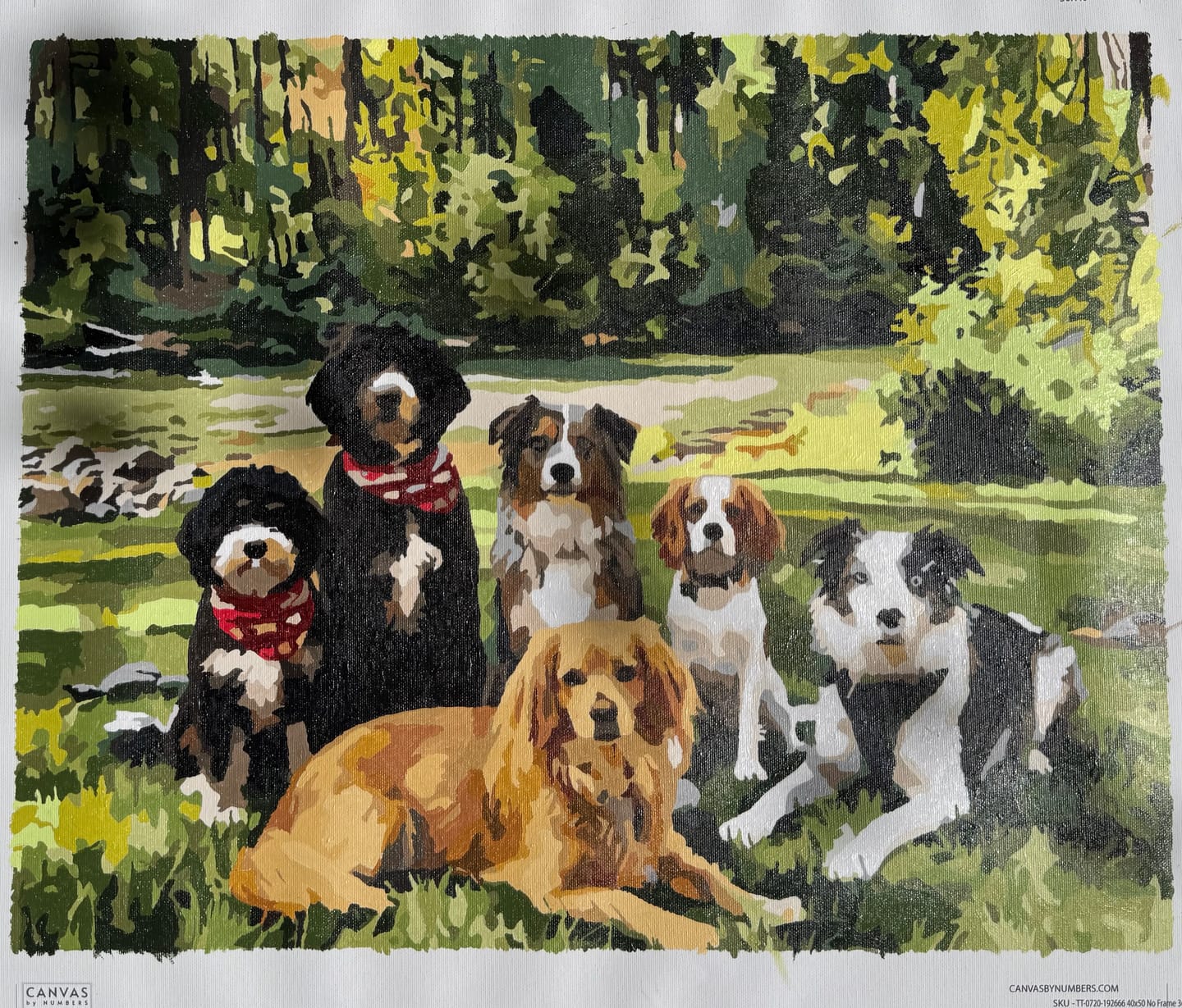 Customer photo review of Custom Paint by Numbers Kit for Personalized Artwork