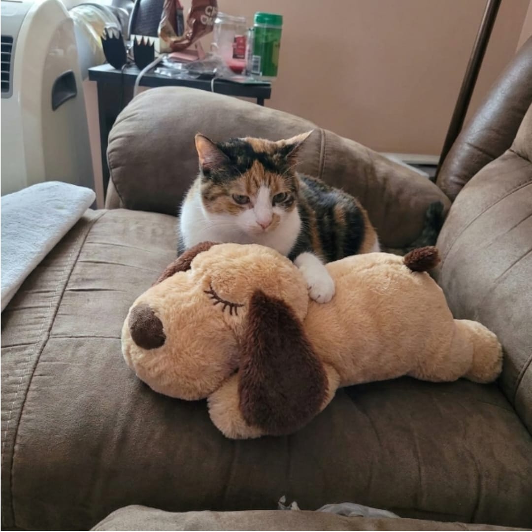 Customer photo review of Peluche con latidos para la ansiedad