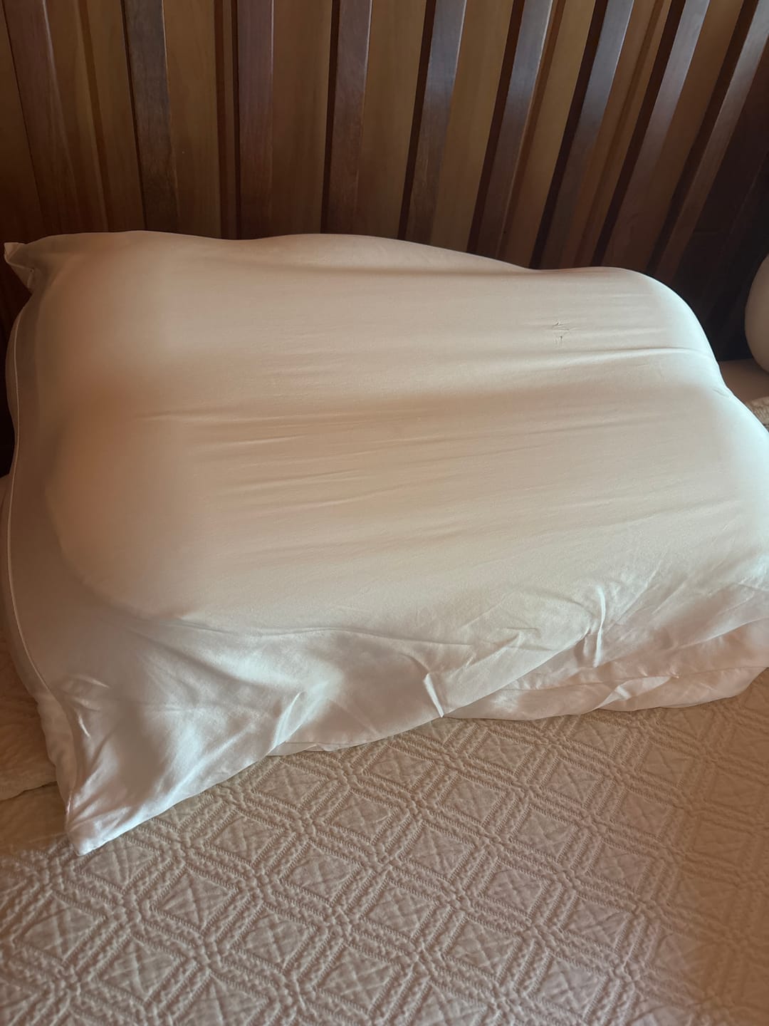 Customer photo review of CloudAlign™ Pillow