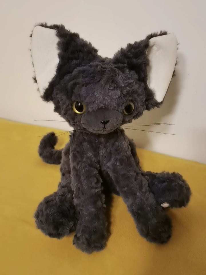 Customer photo review of Moka Cat