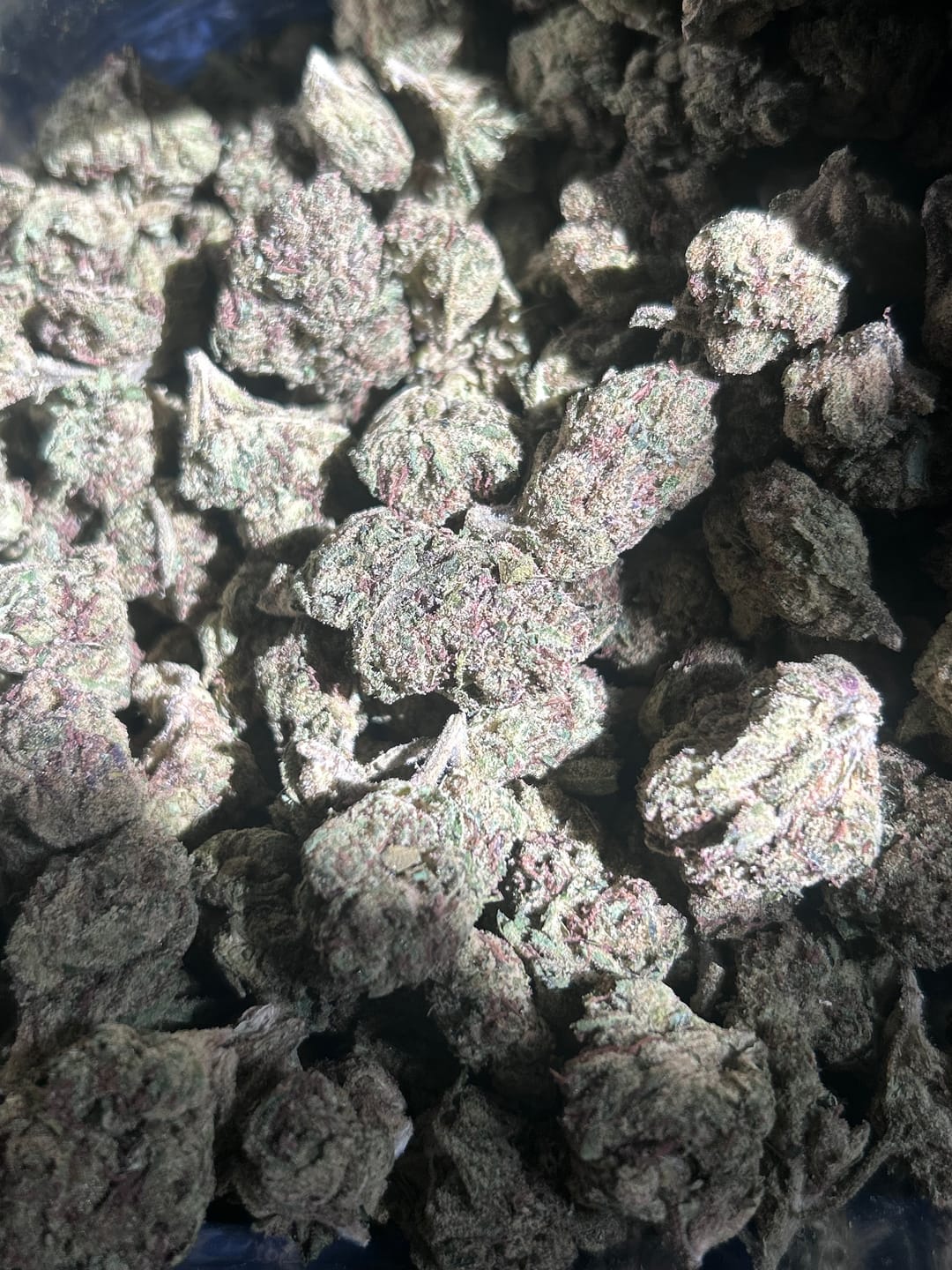 Customer photo review of Bulk Indoor THCA Smalls