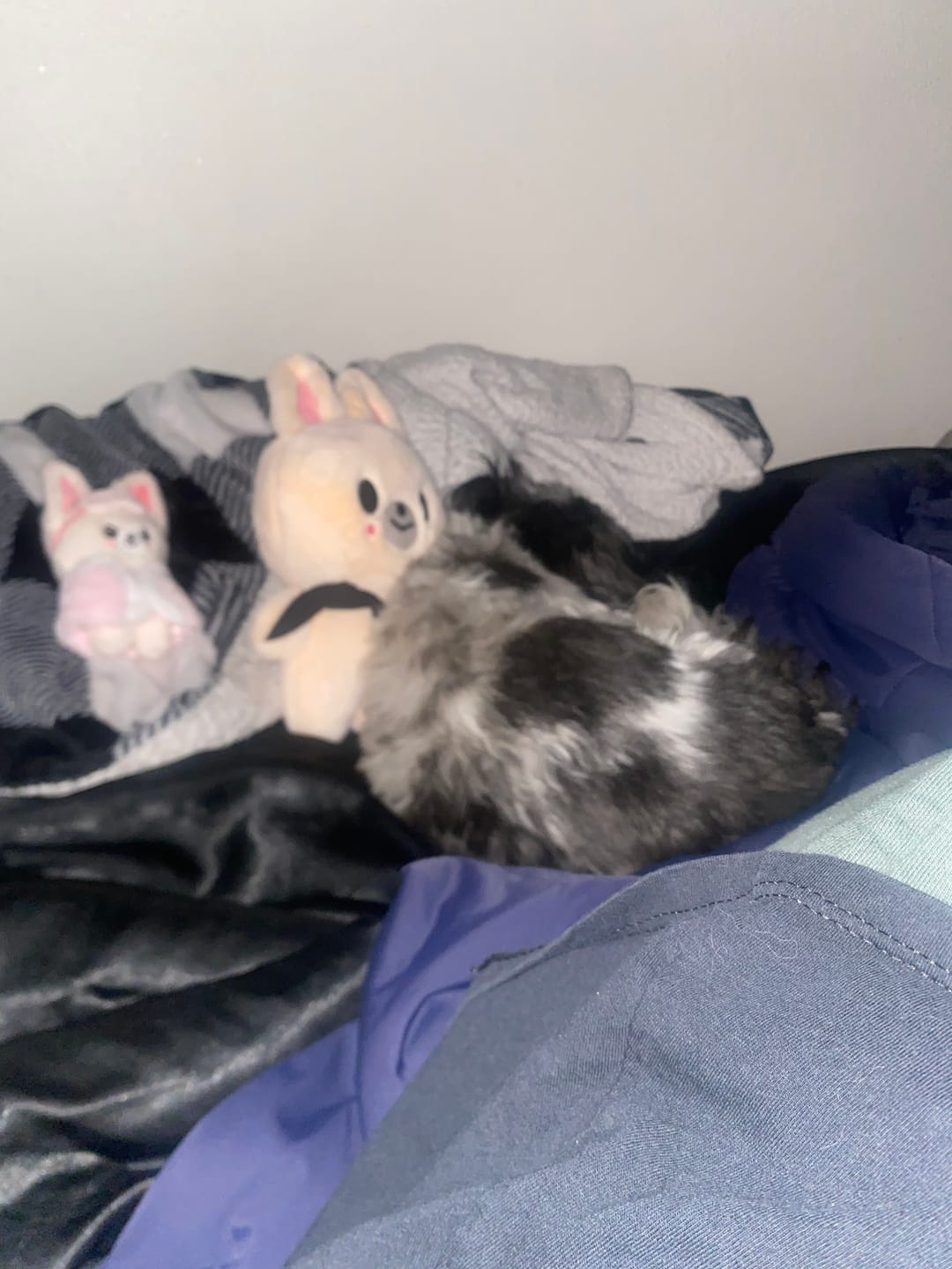 Customer photo review of Cute KPOP Plush Doll Toy
