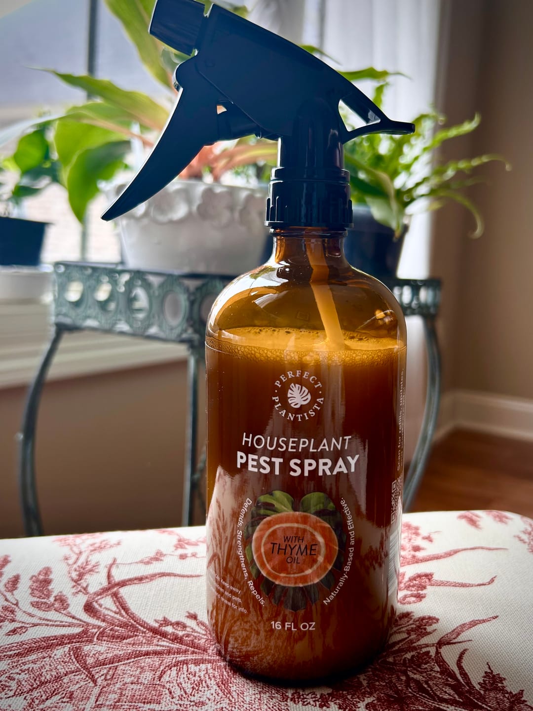 Customer photo review of Houseplant Pest Spray