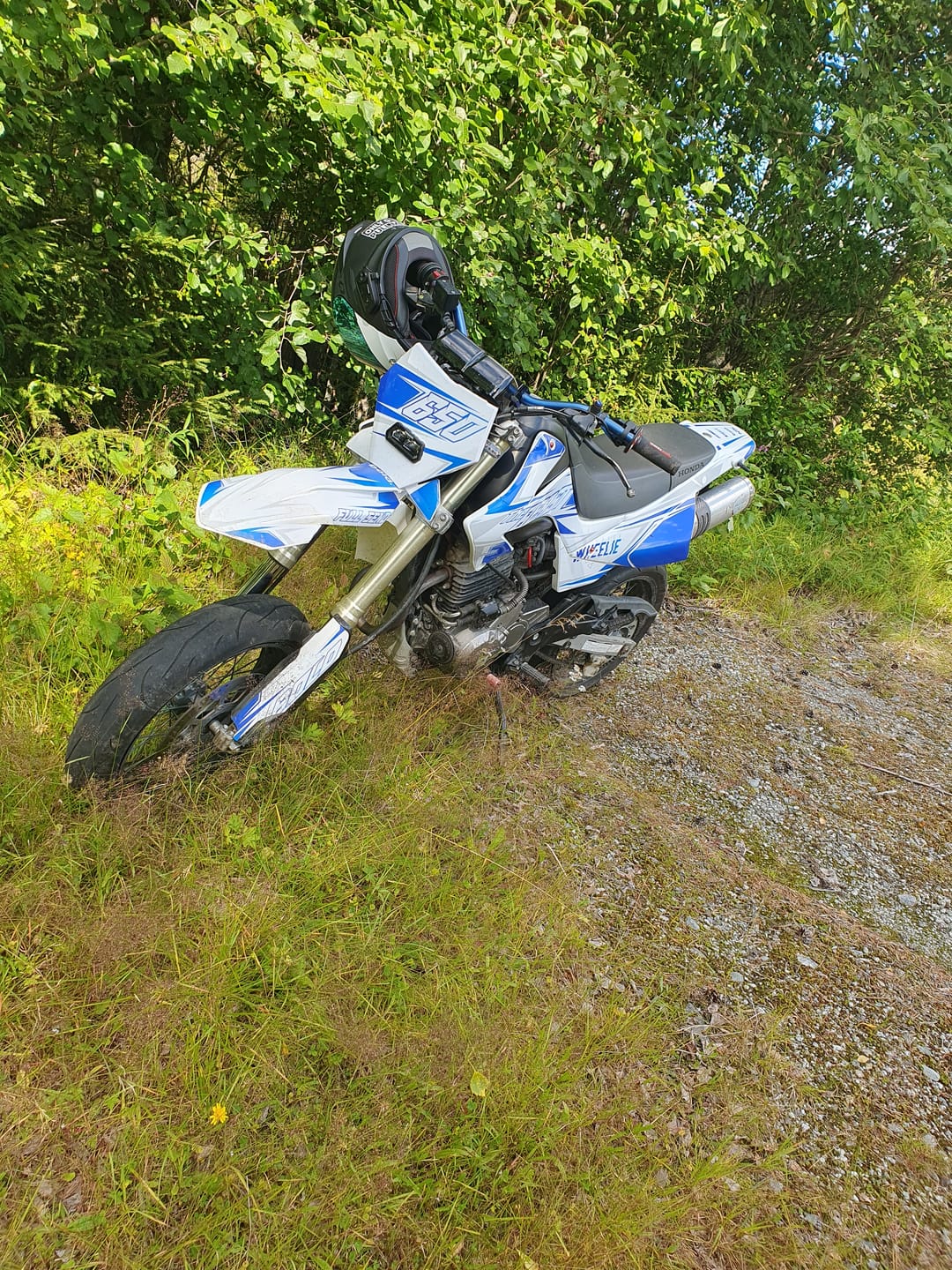 Customer photo review of EVO - Graphics kit