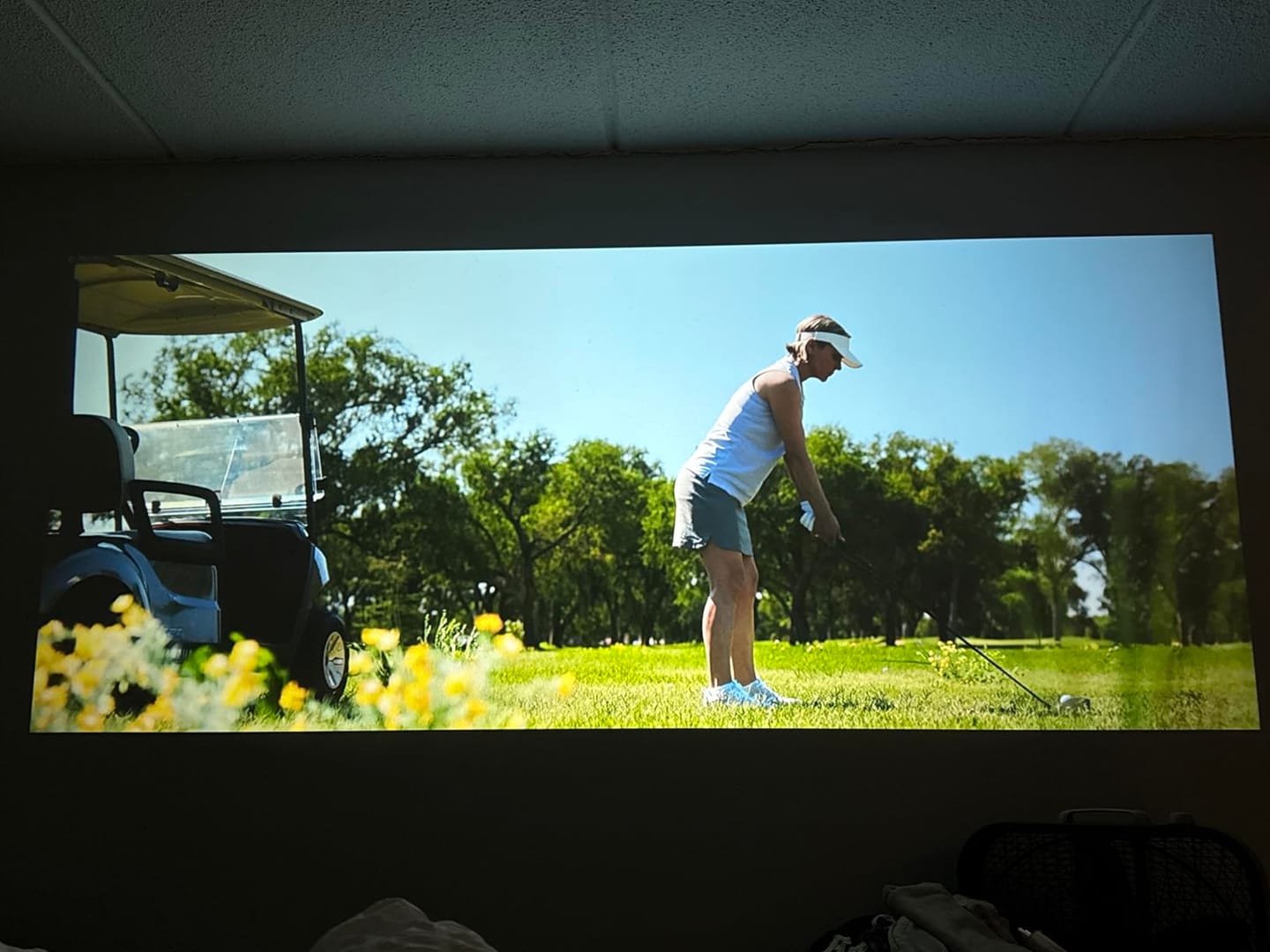 Customer photo review of BookBeam™ - Portable Book Projector