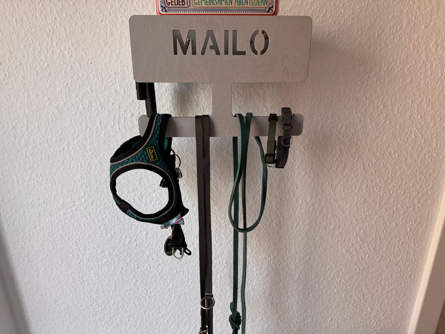 Customer photo review of Dogstation Small
