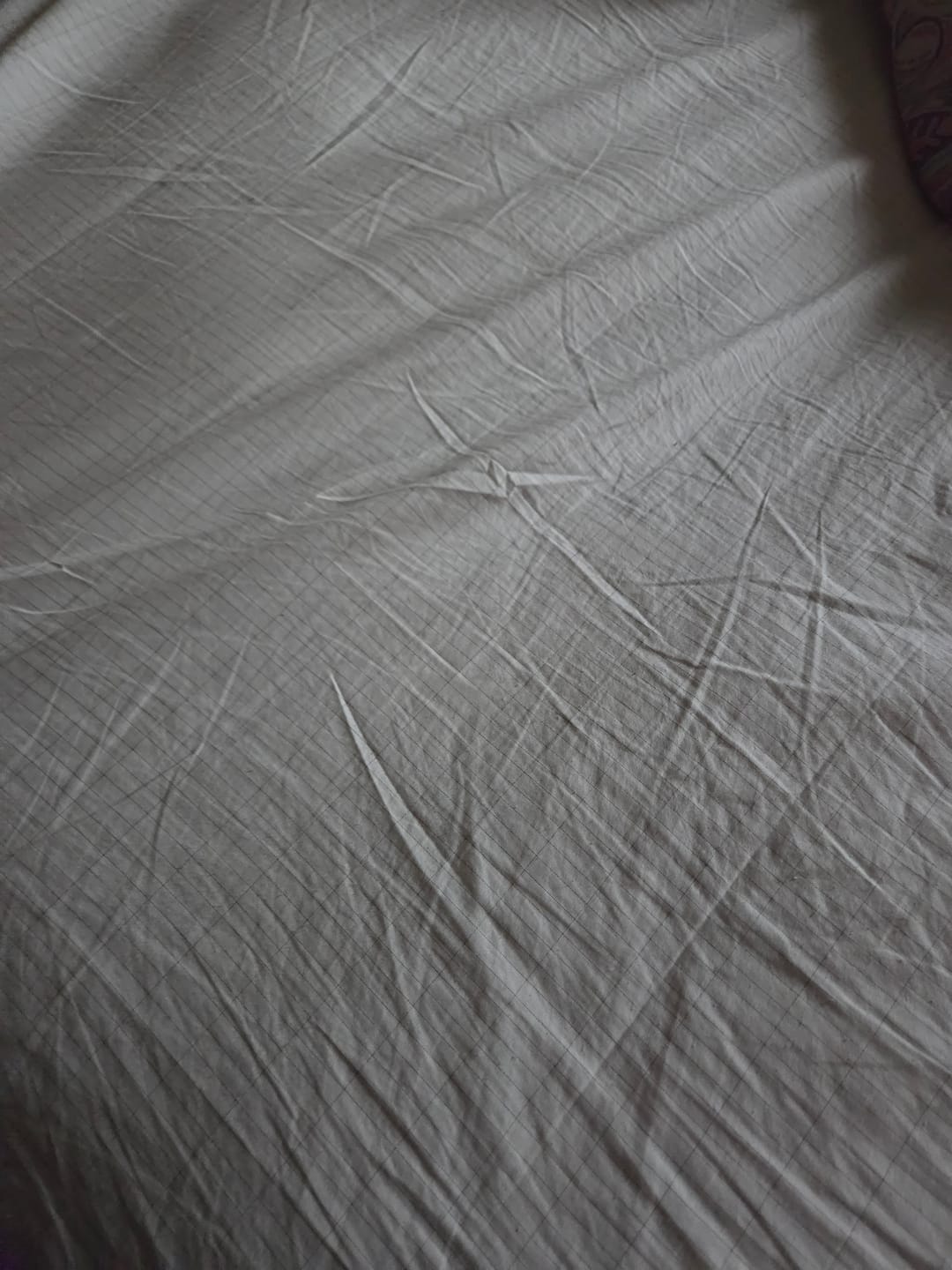 Customer photo review of The Only Grounding Sheet Built To Conduct For Life