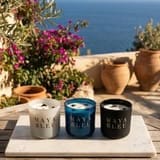 Customer photo review of The Original Shark Tooth Candle