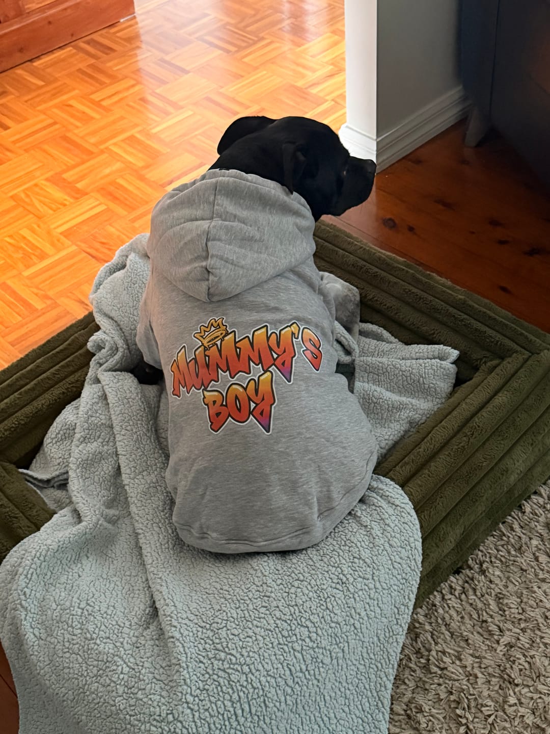 Customer photo review of In Da Hood Dog Hoodie