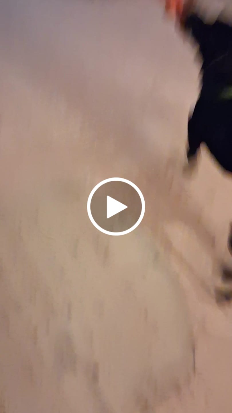 Customer video review of Hund med bold