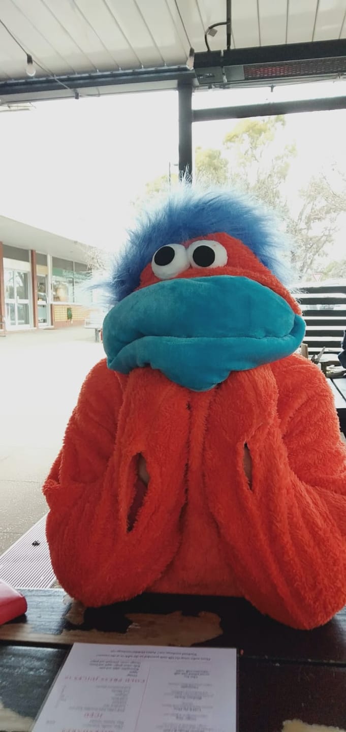 Customer photo review of Snuggo™ Monster Onesie