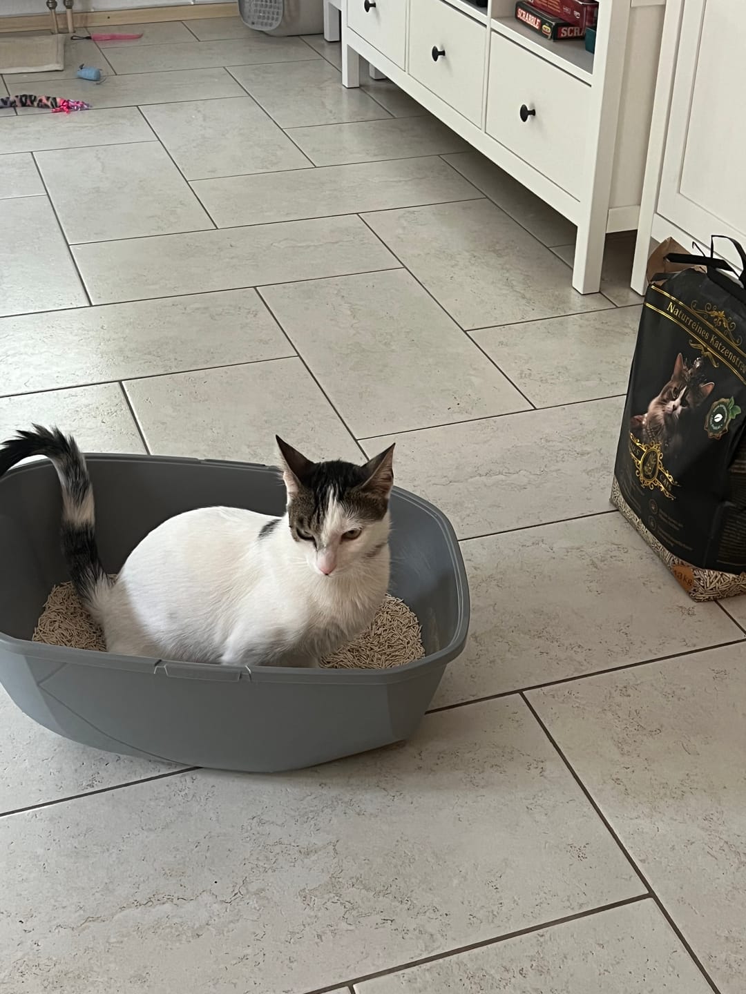 Customer photo review of Naturreines Katzenstreu