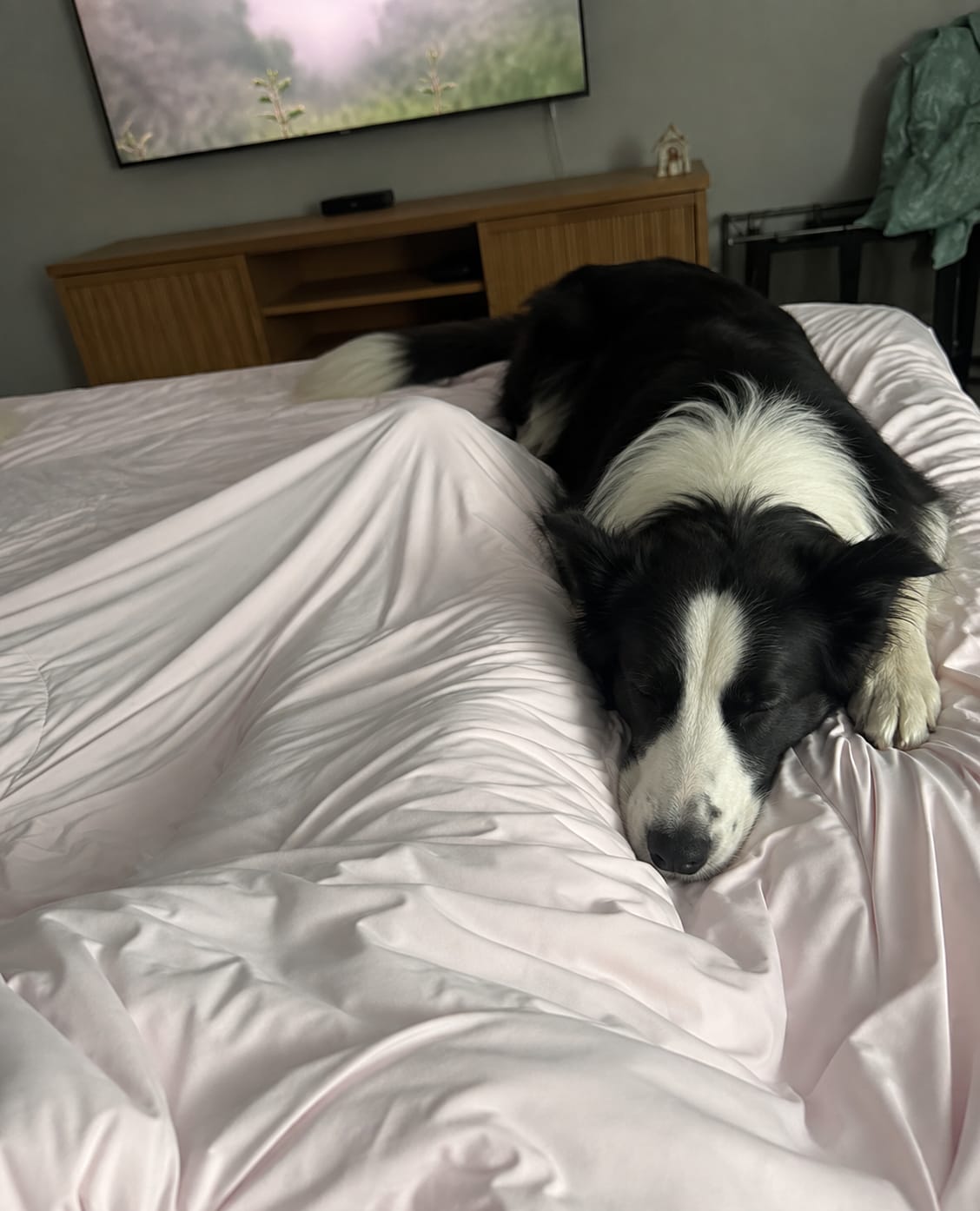 Customer photo review of Cooling Comforter | Stay Cool Year Round