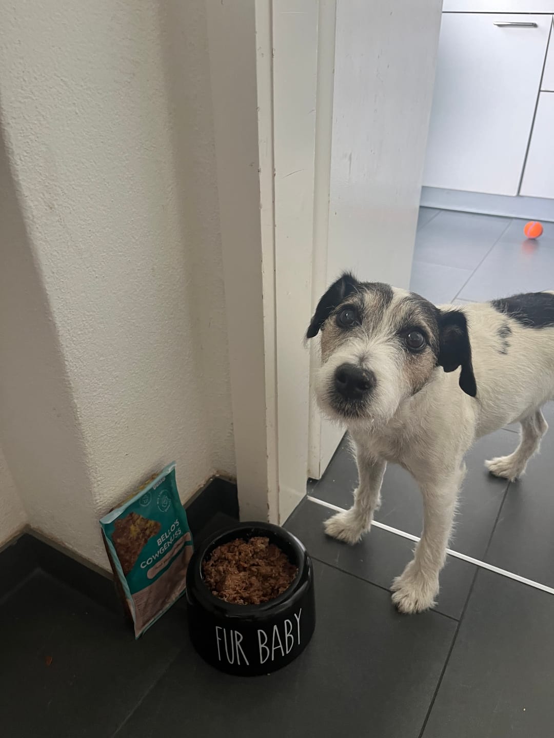 Customer photo review of Frischfutter für Energiebedarf von 474 kCal/Tag